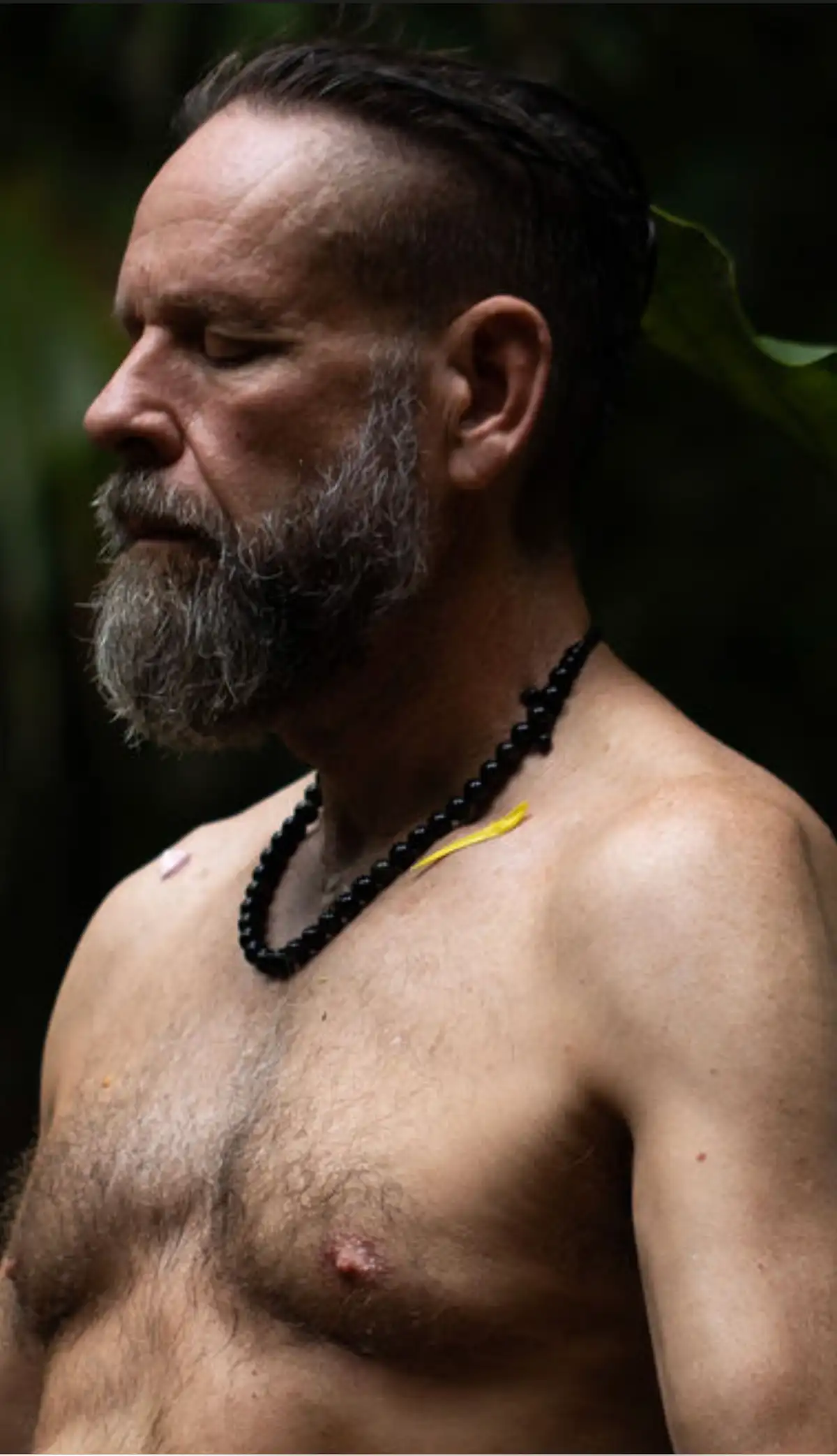 Meditation and Spiritual Ascension